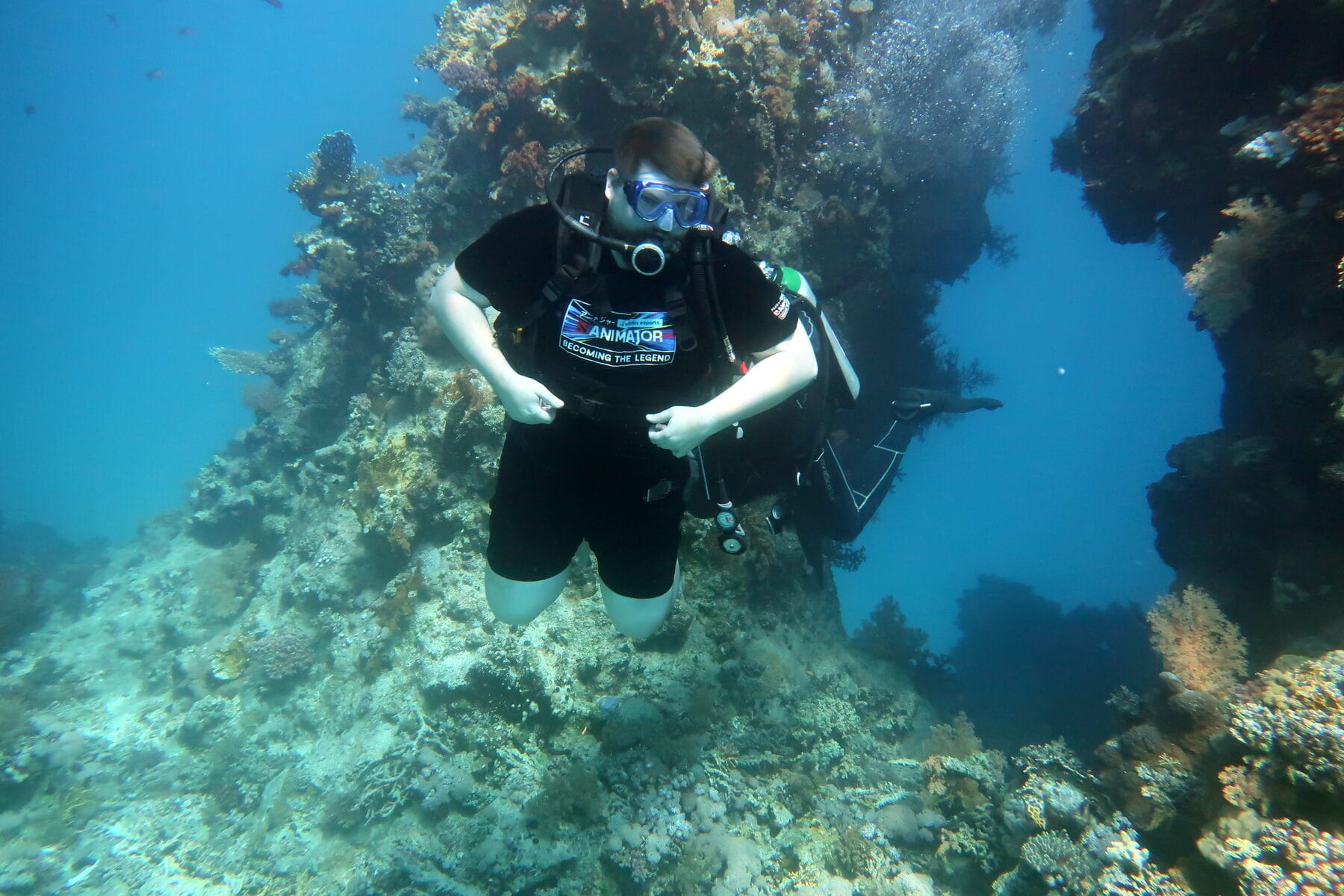 Diving — wrecks, reefs, the quiet layer.